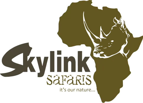 default-logo